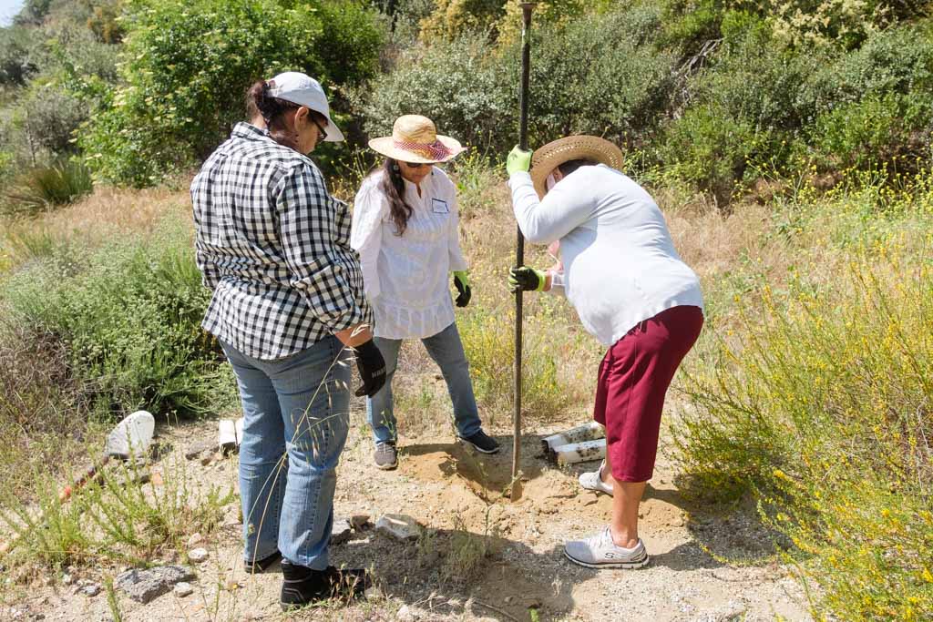 Padres Pioneros Sayre Site Plant-008